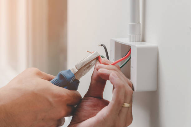 Best Electrical Panel Upgrades  in Rossville, MD